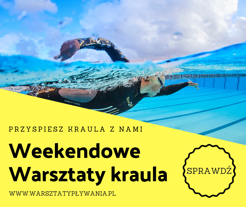 Logo Warsztaty Pływania 2019 z warsztatyplywania.pl