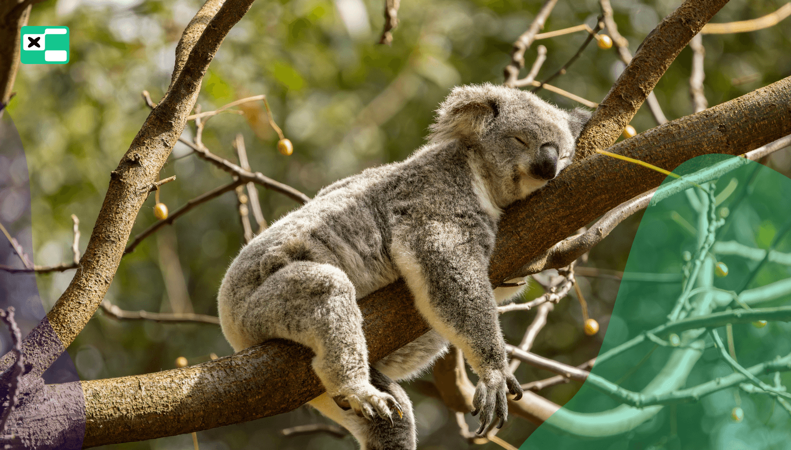 Sen głęboki: Tajna broń triathlonisty, o której nie mówi żaden plan treningowy